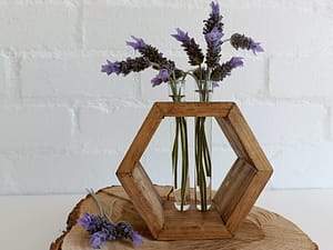 Propagation vase