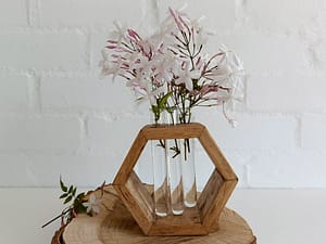 Propagation vase